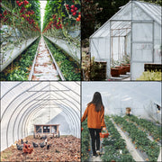 Charger l'image dans la visionneuse de galerie, Amocart Agricultural Greenhouse Film Clear Plastic Farm Crops Vegetable Cover UV Resistant Polyethylene Covering Plants Flowers
