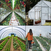 Charger l'image dans la visionneuse de galerie, Amocart Agricultural Greenhouse Film Clear Plastic Farm Crops Vegetable Cover UV Resistant Polyethylene Covering Plants Flowers
