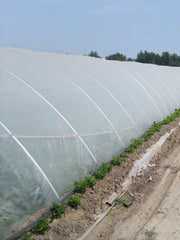 Charger l'image dans la visionneuse de galerie, Amocart Agricultural Greenhouse Film Clear Plastic Farm Crops Vegetable Cover UV Resistant Polyethylene Covering Plants Flowers