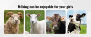 Load image into Gallery viewer, SucceBuy Goat Milking Machine Stainless Steel Bucket Electric Automatic Pulsation Cup Tubes Adjustable Suction for Cow and Sheep