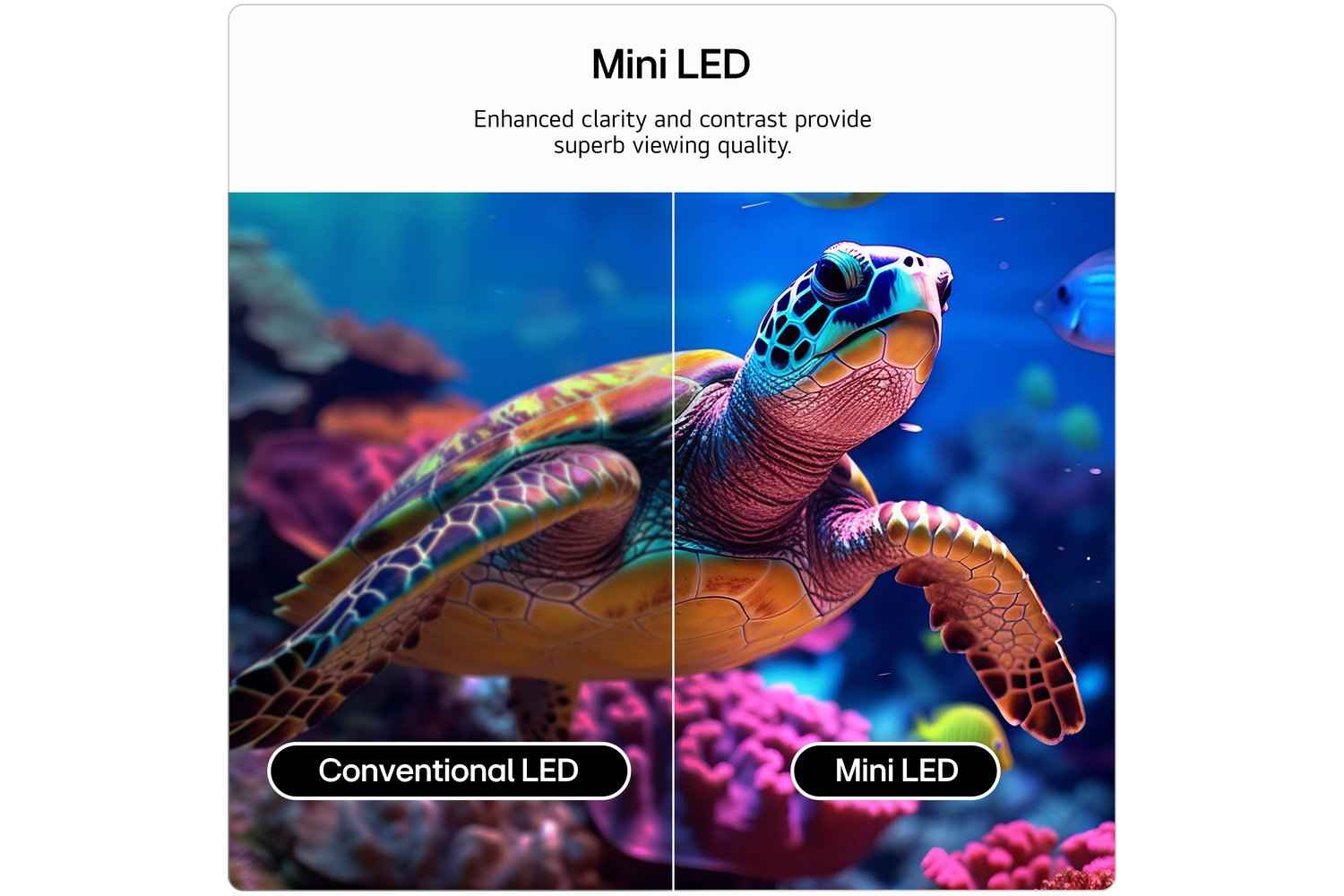 LG QNED72 75" QNED AI Mini LED 4K Smart TV (2026) | 75QNED72B6A.AEI