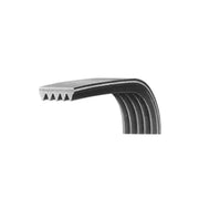 Load image into Gallery viewer, Poly V ribbed drive belt multi-ribbed belts PJ1105 435J 8ribs 5ribs PJ1092 430J PJ1168 8 rib 6 rib serpentine belt
