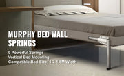 Charger l'image dans la visionneuse de galerie, Amocart DIY Murphy Bed Hardware Kit Vertical Mounting Wall Bed Spring Mechanism Heavy Duty King Queen Bed Support Hardware DIY
