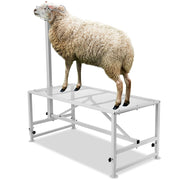 Load image into Gallery viewer, SucceBuy Goat Sheep Stand 51x23in Livestock Stand Metal Livestock Milking and Shearing Stand 21" to 33" Adjustable Height White - AMOCART
