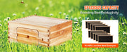 Load image into Gallery viewer, SucceBuy Bee Hive Deep Box Starter Kit 100% Beeswax Coated Natural Cedar Wood Langstroth Beehive Kit Transparent Acrylic
