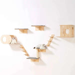 Amocart Wall Mounted Cat Shelves Cat Wall Shelves and Perches with Jumping Boards Hammocks & Cat Tree Cat Furniture and Shelves