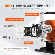 Load image into Gallery viewer, SucceBuy Water Transfer Pump 12V DC 360GPH 1/10HP Portable Electric Utility Pump with 6ft Suction Hose Kit Impeller Garden Use
