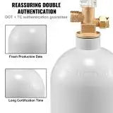 Load image into Gallery viewer, 5 Lbs CO2 Tank Aluminum Gas Cylinder Brand New CO2 Cylinder with Gray Spray Coating CO2 Tank with CGA320 Valve
