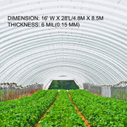 Load image into Gallery viewer, Amocart Agricultural Greenhouse Film Clear Plastic Farm Crops Vegetable Cover UV Resistant Polyethylene Covering Plants Flowers
