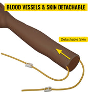 Charger l'image dans la visionneuse de galerie, Amocart Intravenous Practice Arm Kit PVC High Simulation Nurse Blood Drawing Practice Injection Model Arms Medical Kit School
