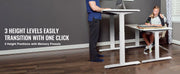 Charger l'image dans la visionneuse de galerie, SucceBuy Standing Desk Frame  Electric Stand Up Computer Desk Legs Ergonomic DIY Workstation Base for Home Office Black white
