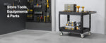 Amocart 550 lbs Utility Service Cart Two-Shelf Plastic Hand Dolly Cart with 360° Swivel Wheels for Warehouse Garage Cleaning